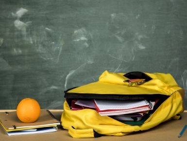 Choosing a School Bag with Ergonomics and Proper Weight Distribution